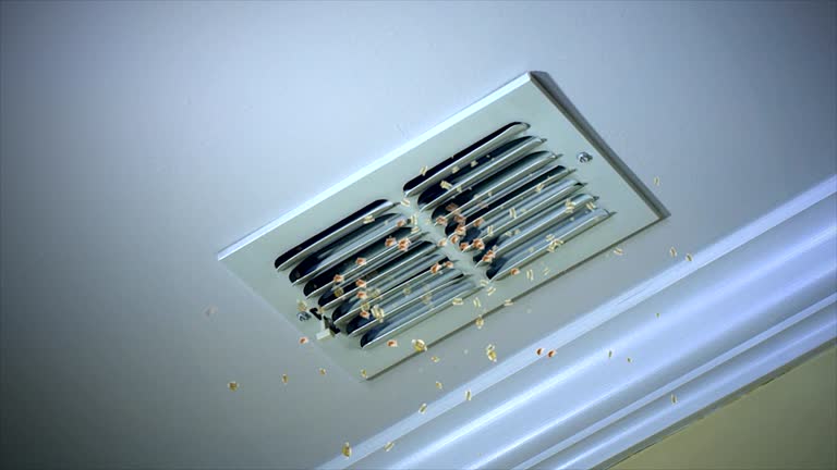 Best HVAC Duct Inspection Services  in Sayre, OK